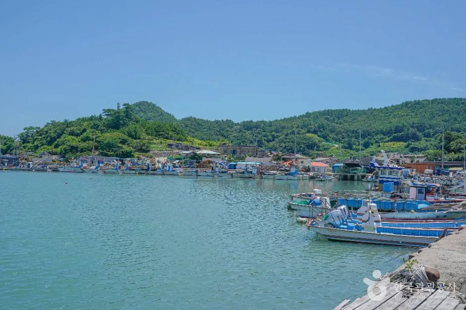 지죽도