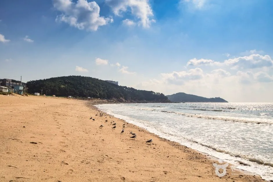 인천_왕산해수욕장 (3)