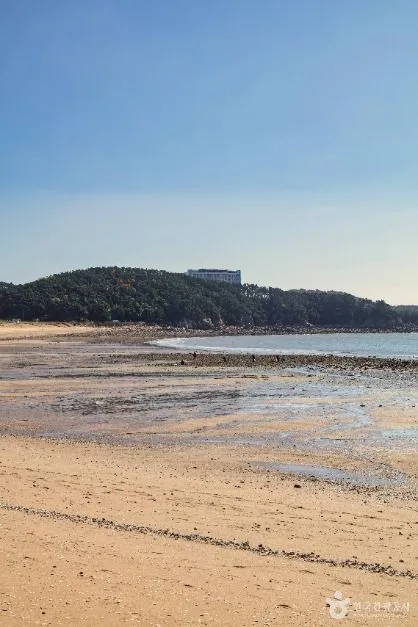 인천_왕산해수욕장 (8)