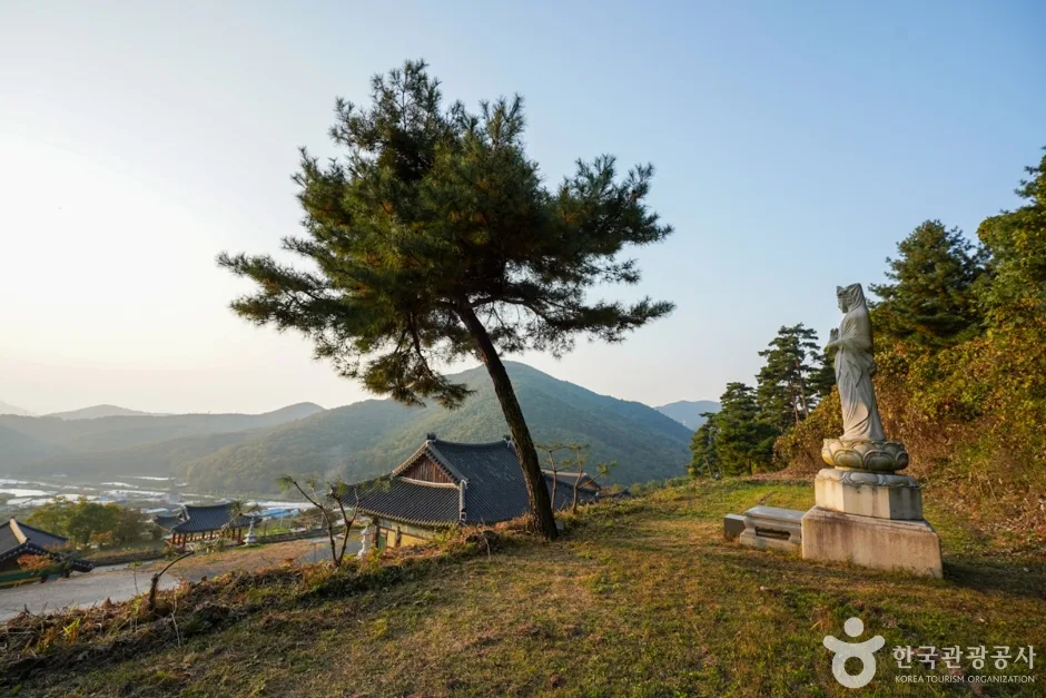원효대사의 숨결을 따라가는 경산 산사 여행_경북_경산_반룡사_3.jpg