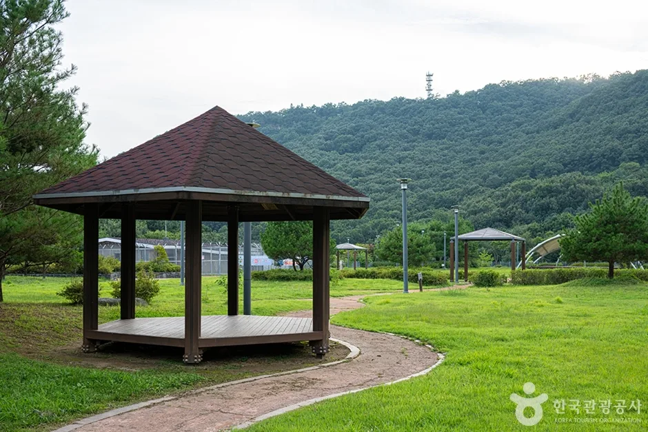 월롱시민공원 (9)