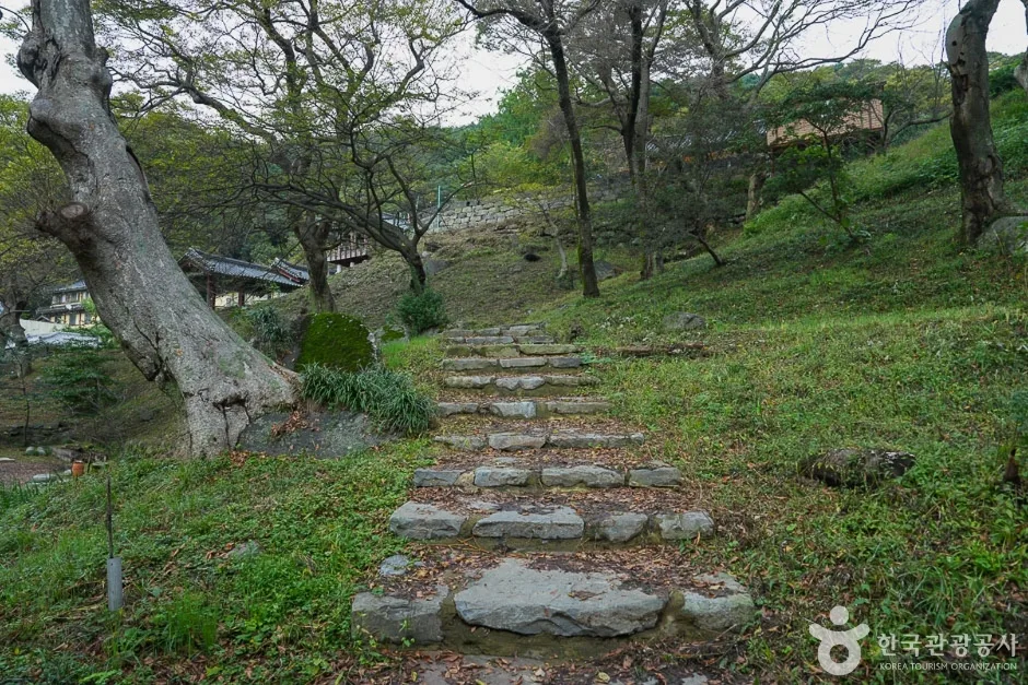 도비 마루길 (12)