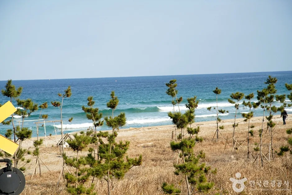 강원_강릉_도직해변 (2)