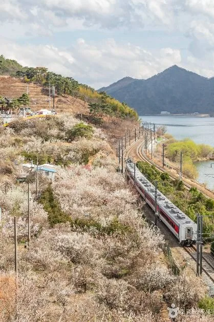양산_순매원 (4)