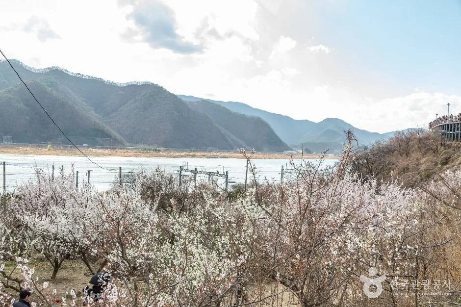 경남_양산_순매원_외부_1.jpg