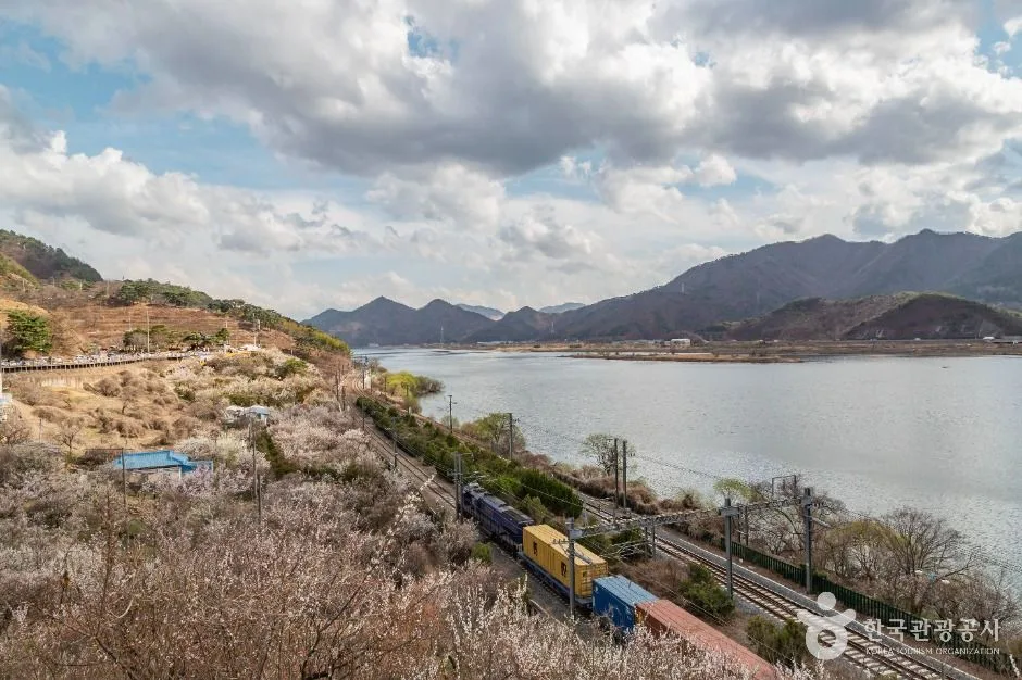 양산_순매원 (1)