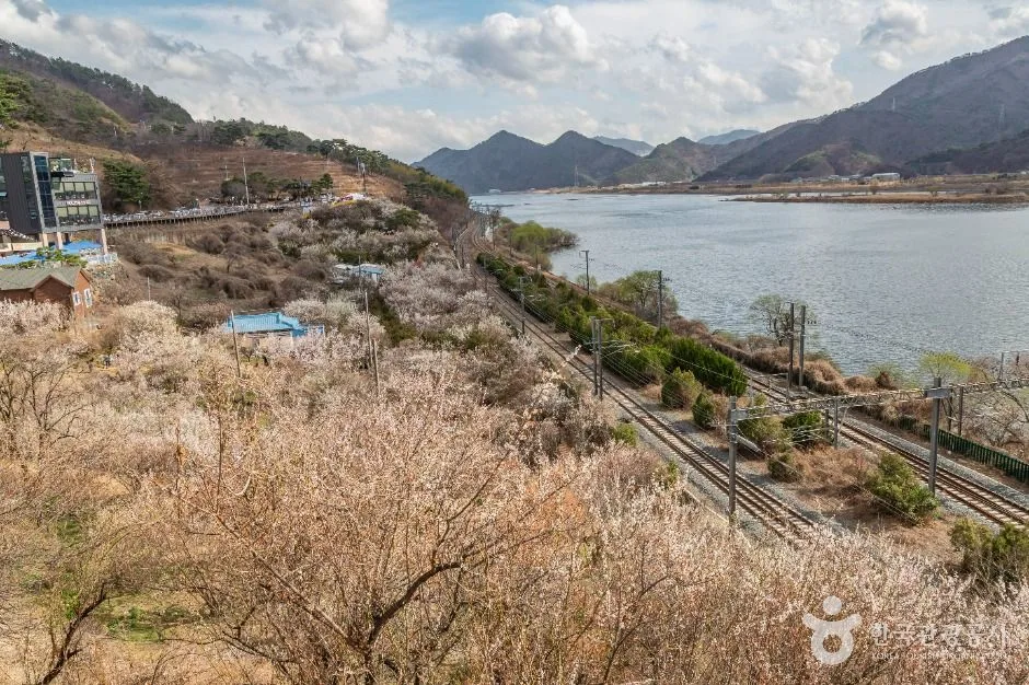 양산_순매원 (2)