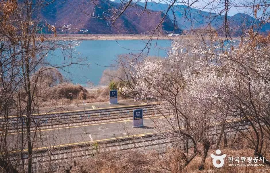 양산_순매원 (5)