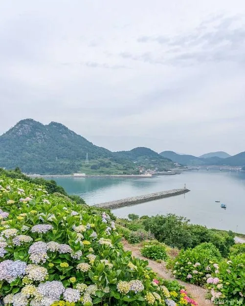 전남 완도 목포 무안 영광 고흥 여수 순천 가볼만한곳, 미식 여행 코스 추천_고흥 쑥섬_7-1