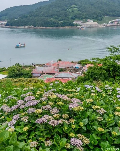 전남 완도 목포 무안 영광 고흥 여수 순천 가볼만한곳, 미식 여행 코스 추천_고흥 쑥섬_7-2