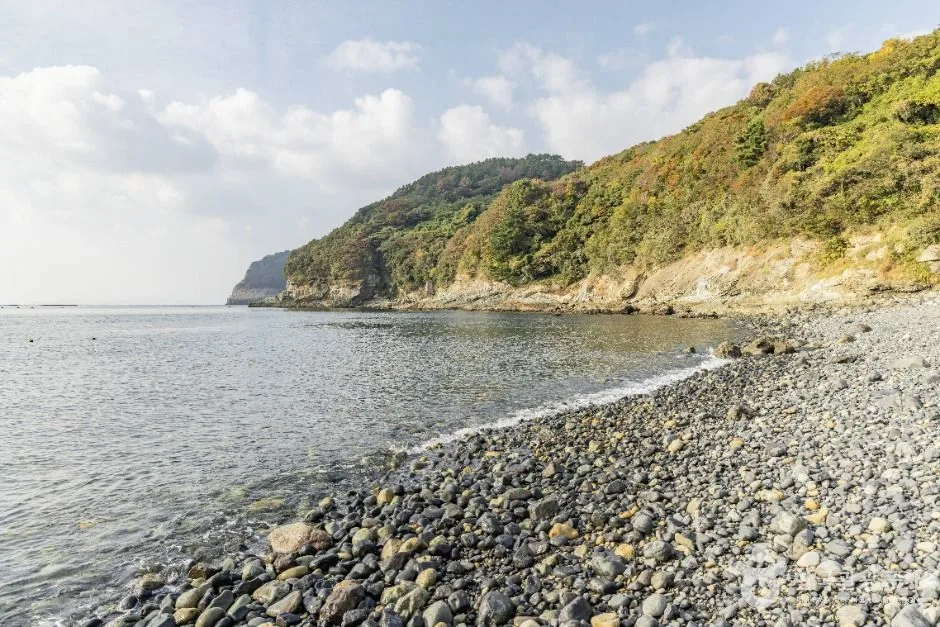 유동해수욕장