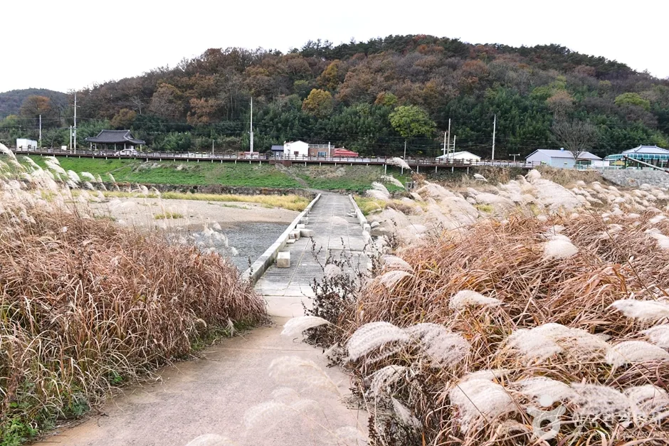 함평 고막천 석교 (4)