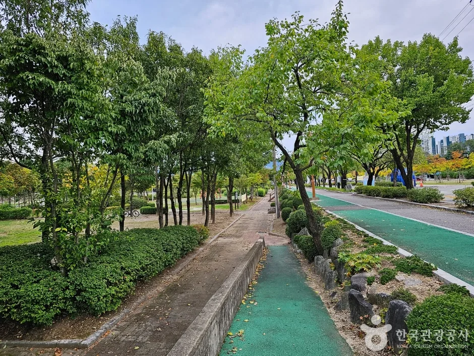청춘양구레포츠공원_4