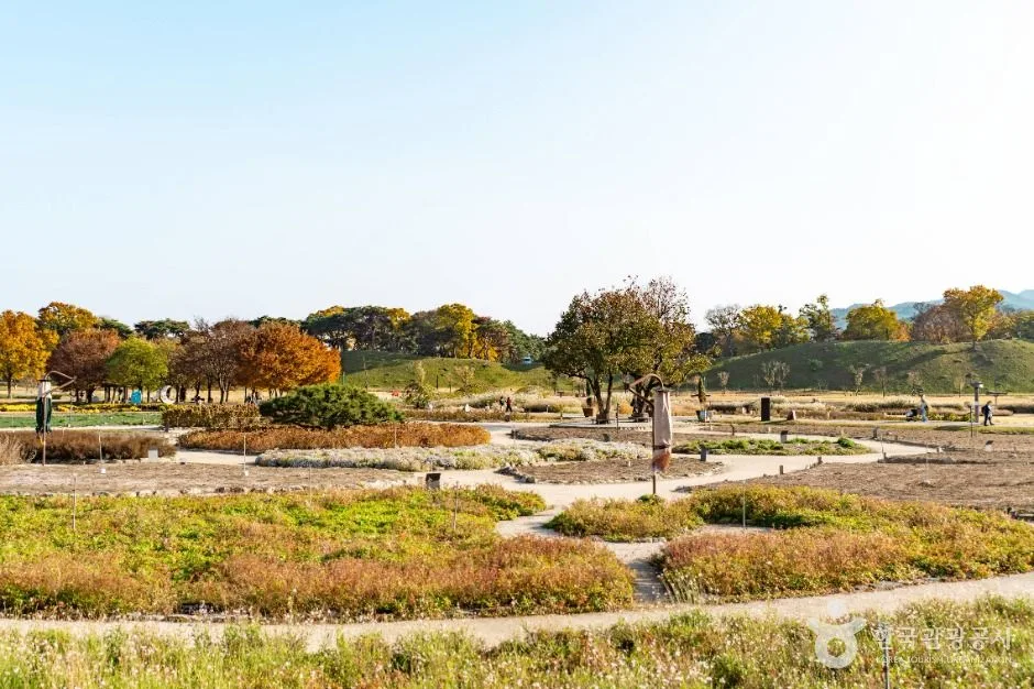 경주_경주 동부 사적지대 (4)