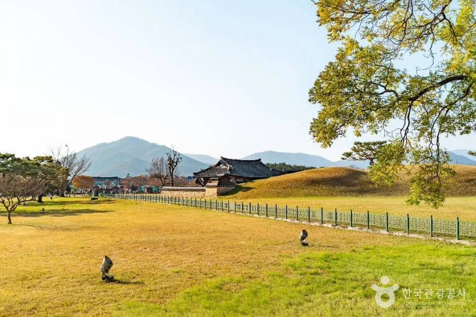경주_경주 동부 사적지대 (3)