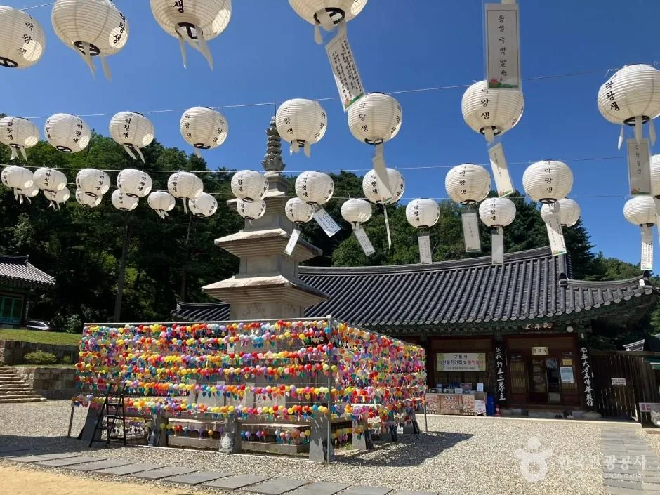 원주_구룡사 (11)