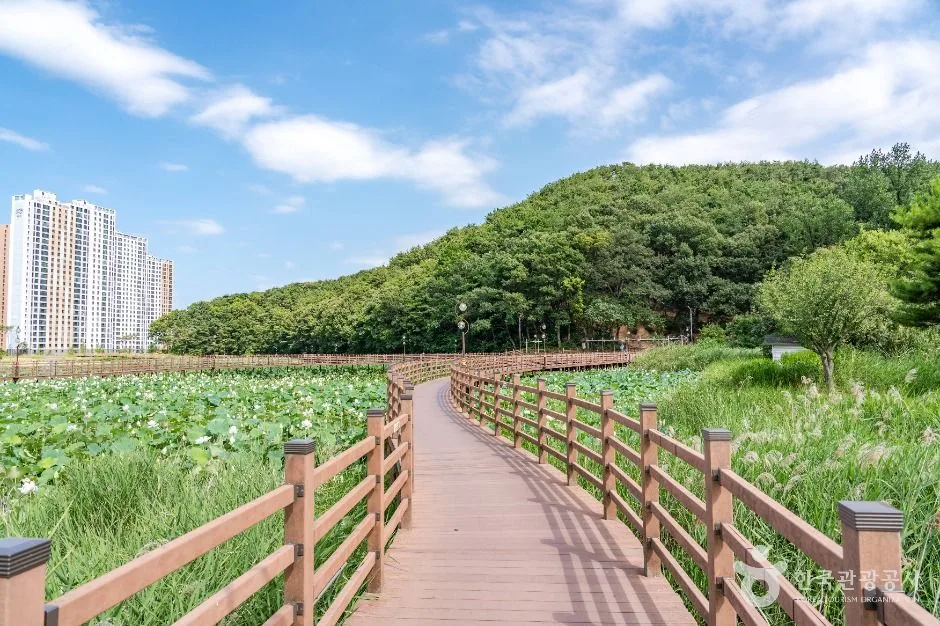 들성생태공원