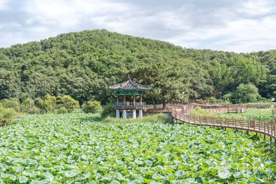 구미_들성생태공원 (1)