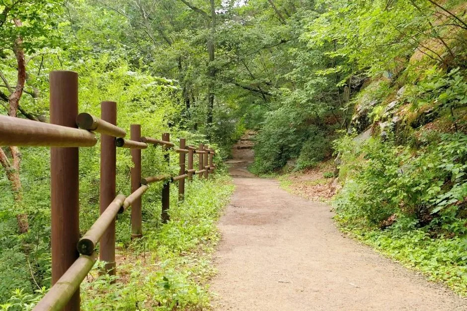 대구_수태골 (4)