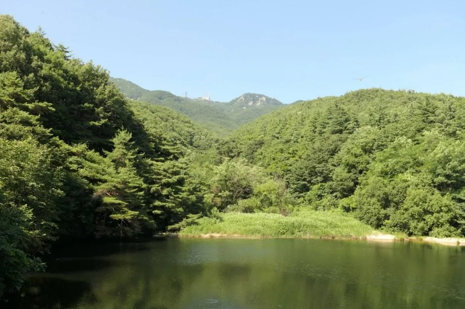대구_수태골 (11)