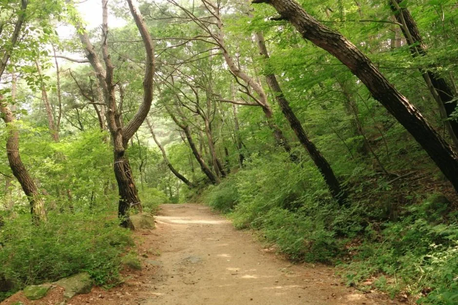 대구_수태골 (3)