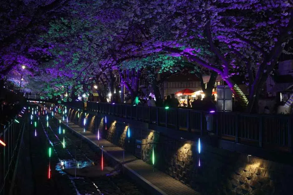 2026 진해군항제 (6).JPG