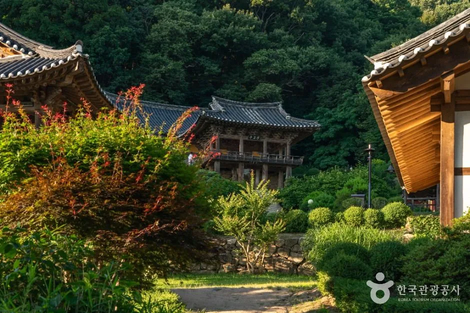 영주_부석사 [유네스코 세계유산] (6)