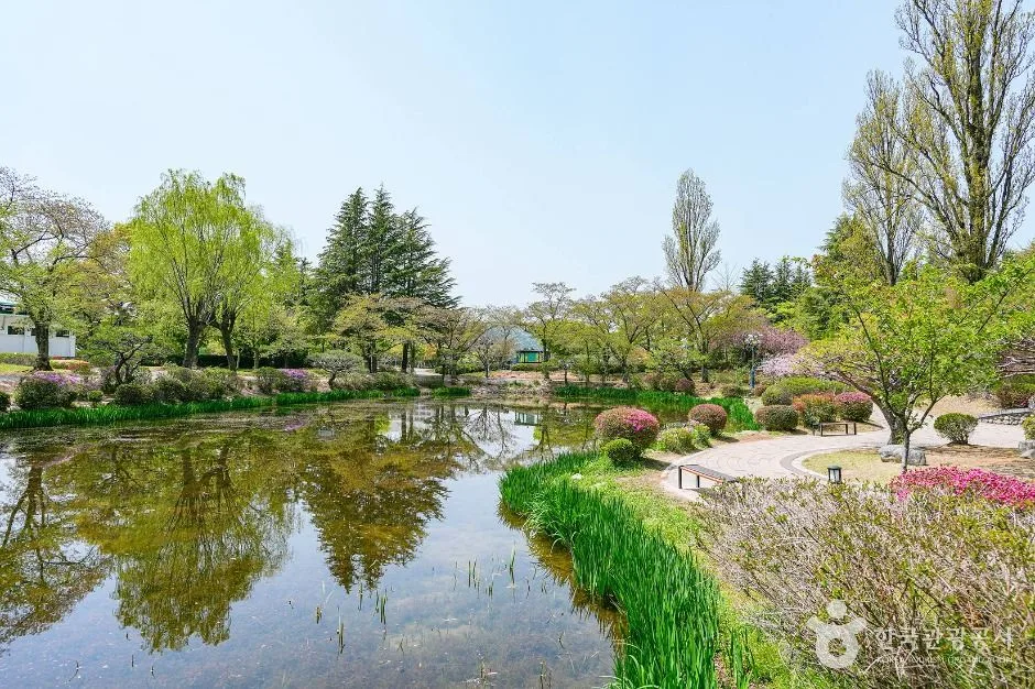 경주_보문정(경주) (5)
