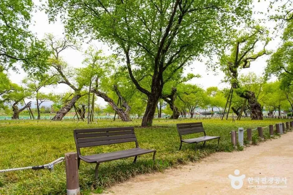 경북_성주_성주 경산리 성밖숲_외부_3.jpg