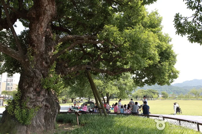 경북_성주_별별 야생화 천국, 성주 가야산야생화식물원과 성밖숲_09