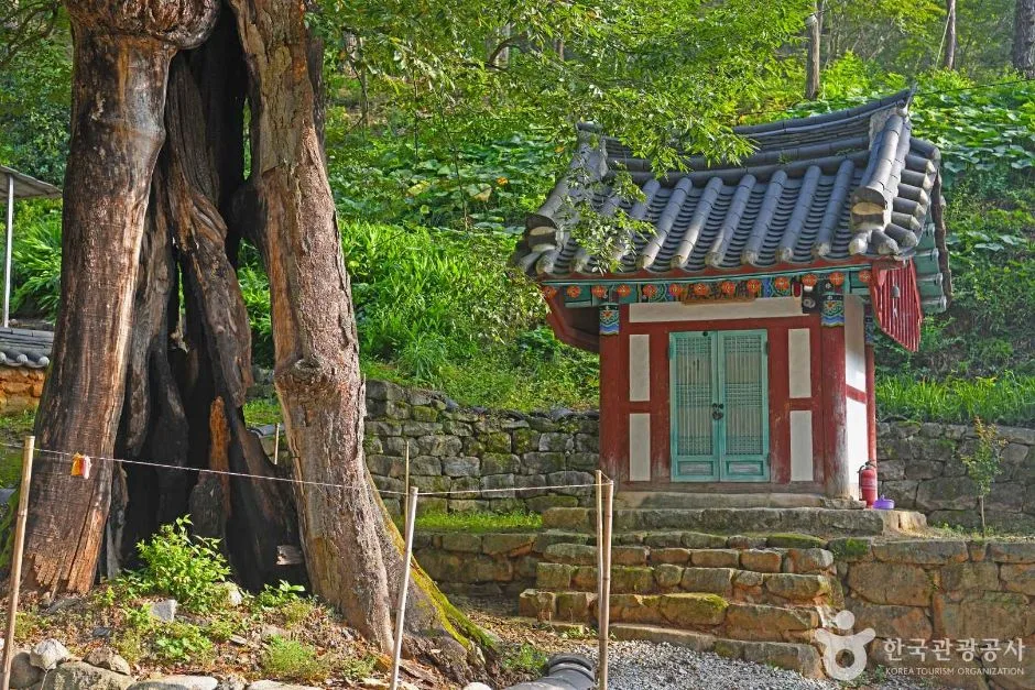 전북_임실_죽림암(임실) (7)