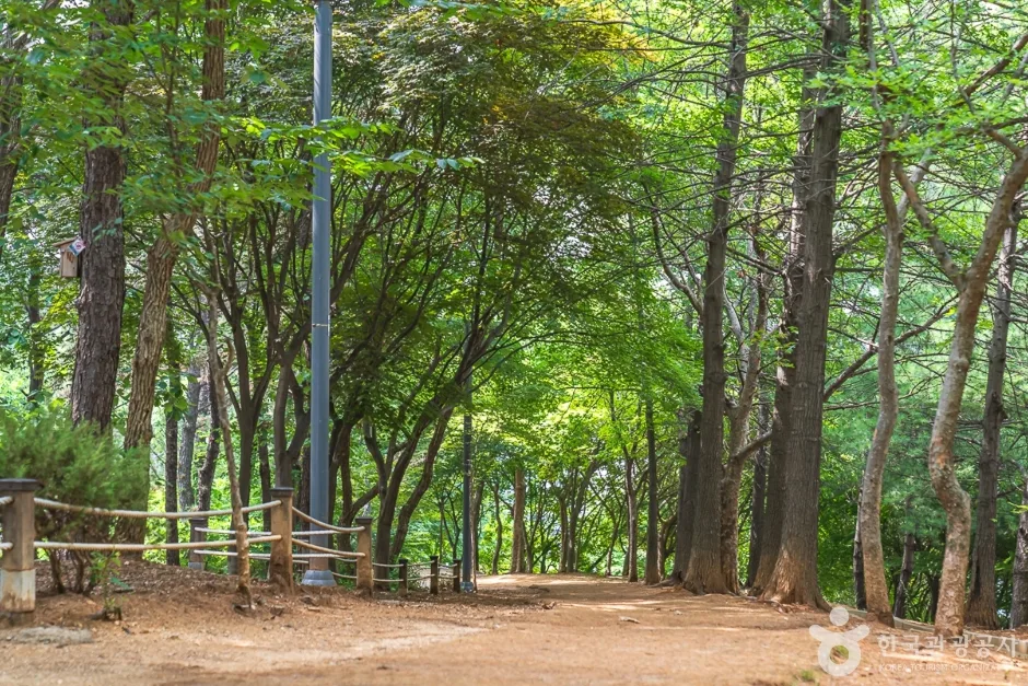 성정공원 (3)