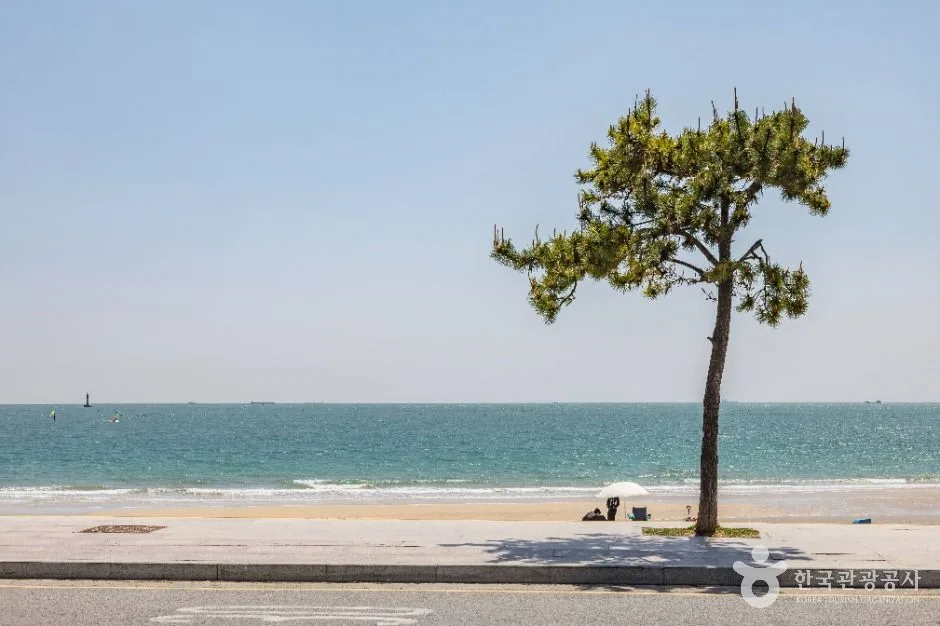 부산_송정해수욕장 (2)