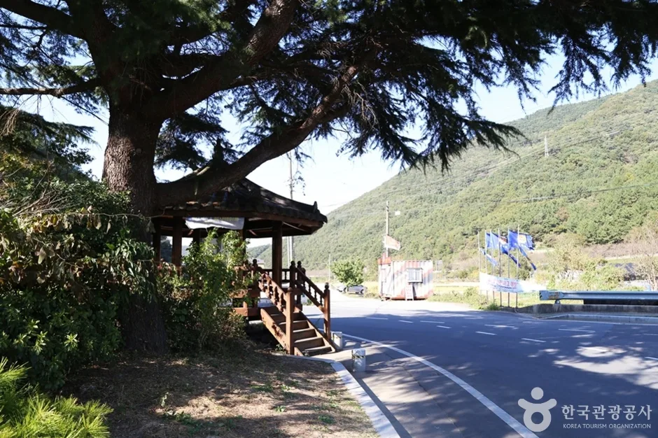 감천계곡 (12)