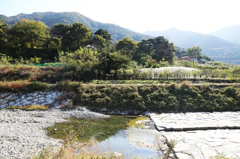 감천계곡 (9)