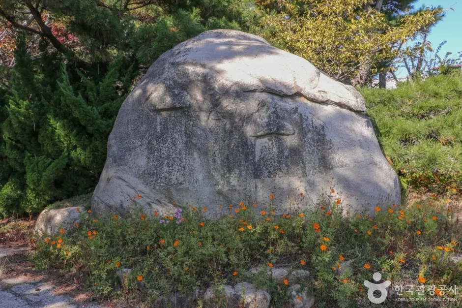 울산테마식물수목원 (63)
