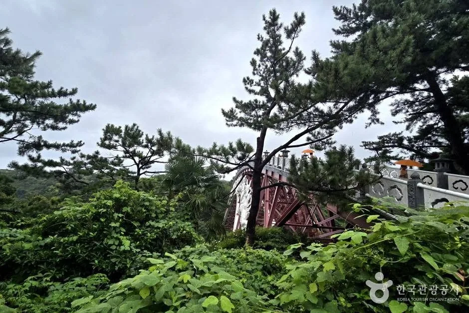 선임교_e (5)