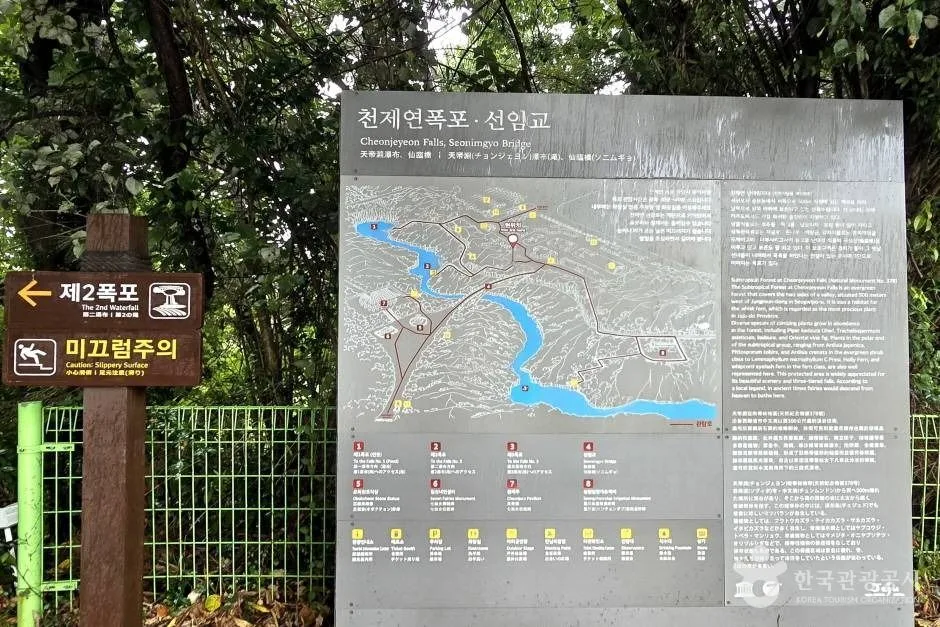 선임교_e (2)