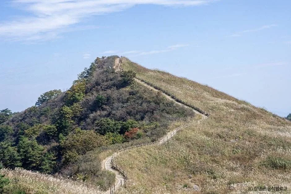 창녕_화왕산군립공원 (6)