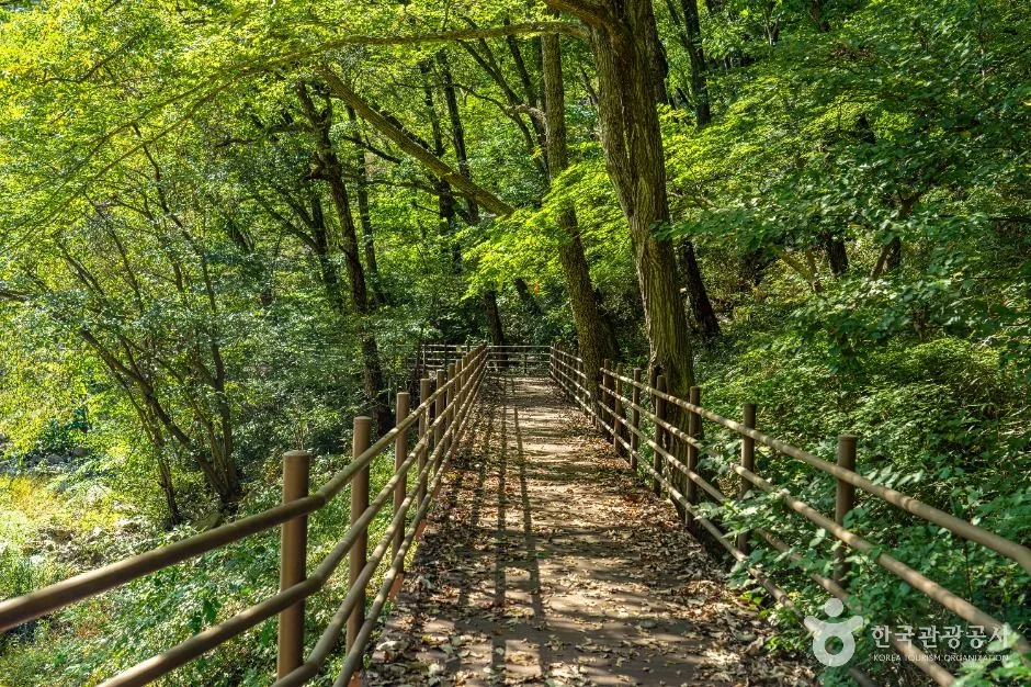 장수_덕산계곡(덕산용소) (1)