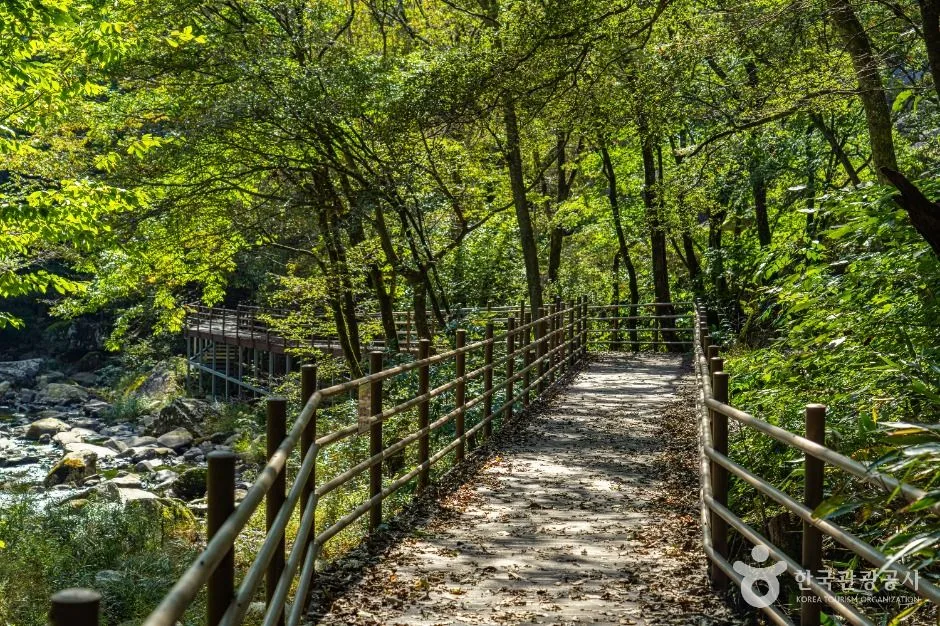 장수_덕산계곡(덕산용소) (2)