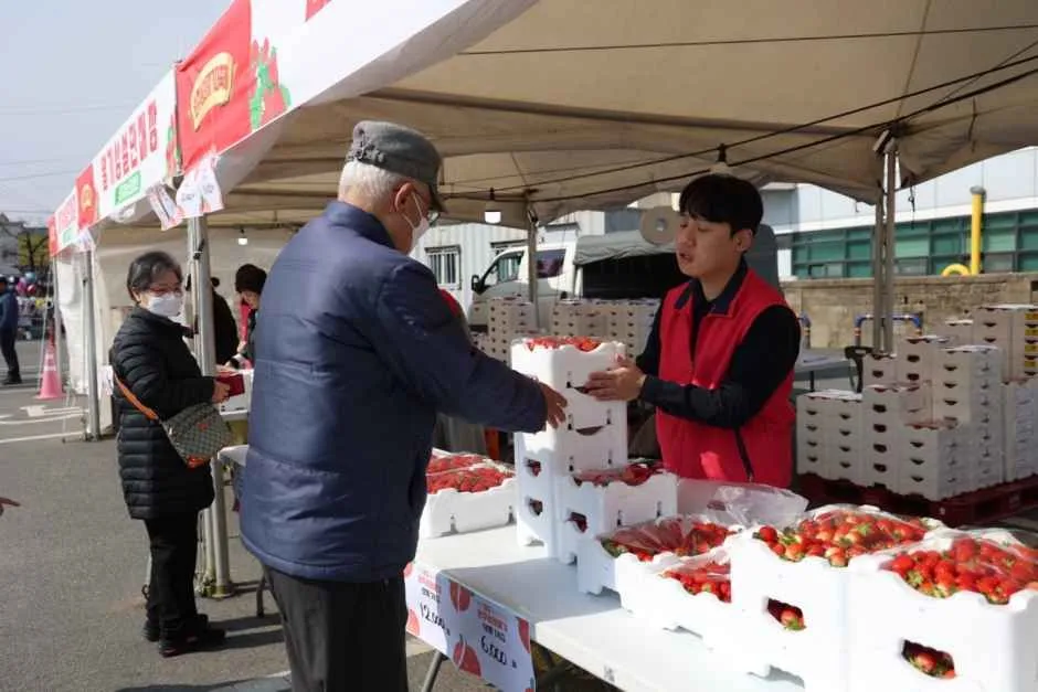 2026 완주삼례딸기대축제 (6).jpg