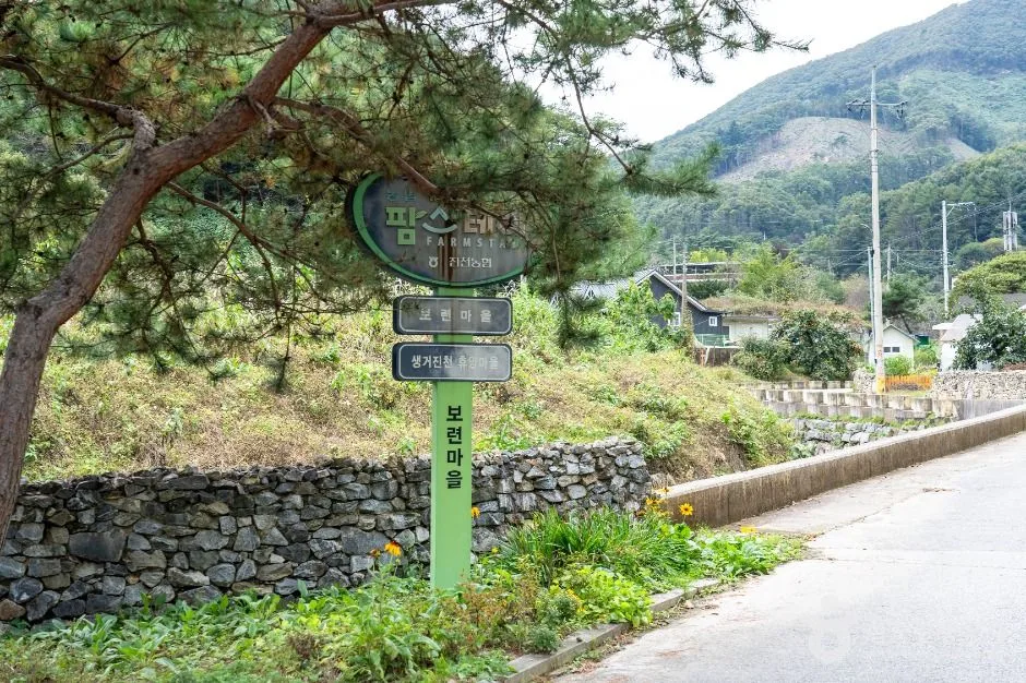 진천_생거진천 화랑촌 (3)