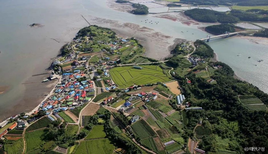 황도 (4)
