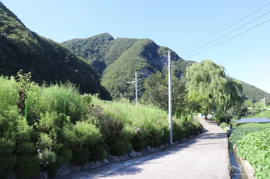 하고사리역 (2)