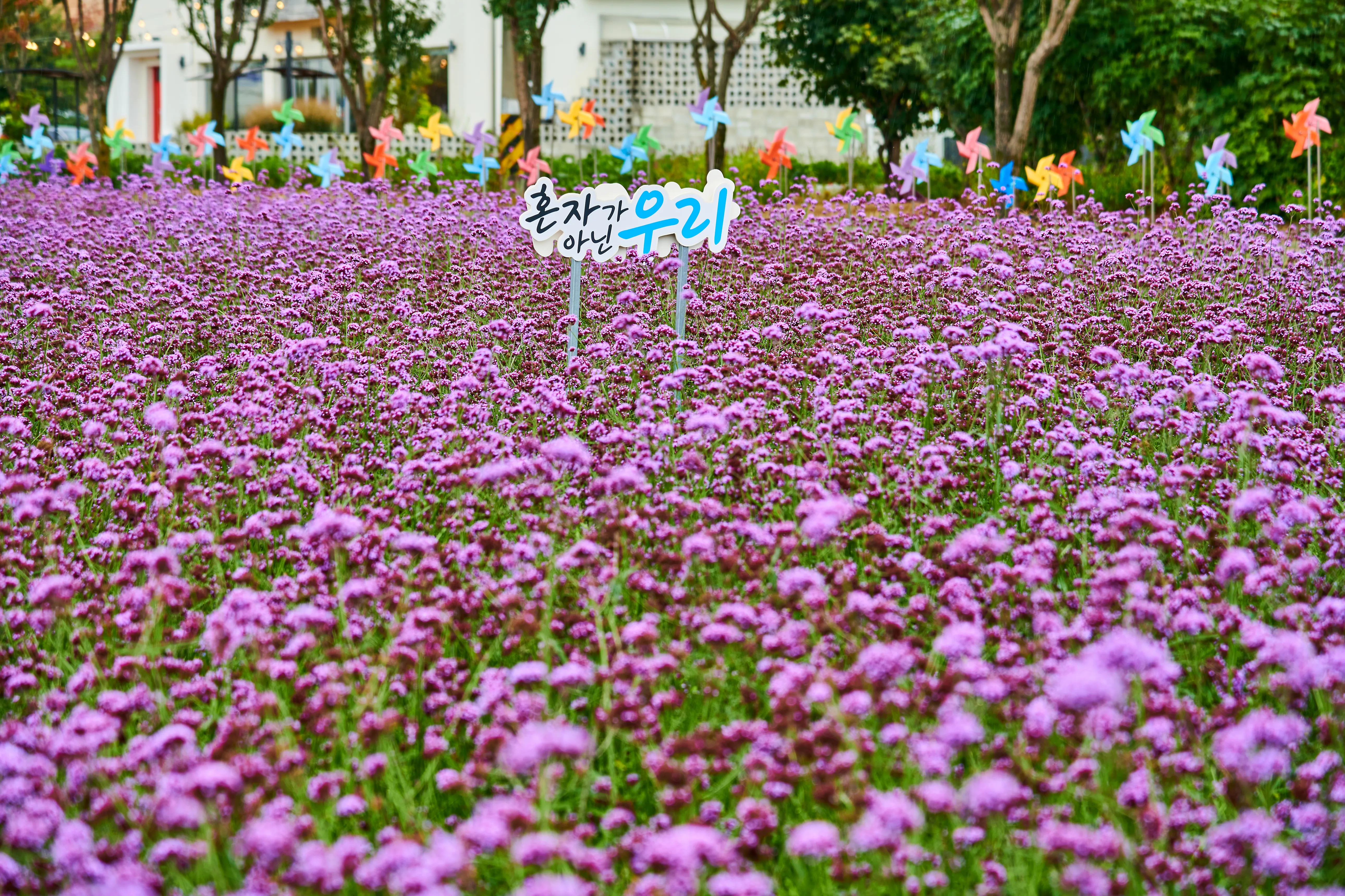 모산비행장 (3)
