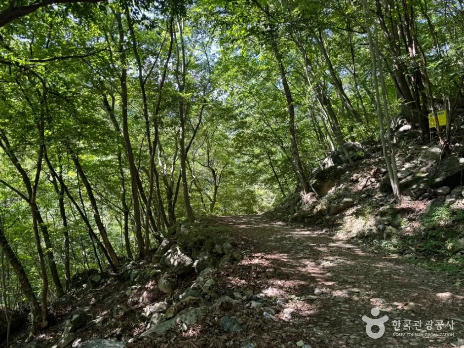 울주_철구소계곡 (4)