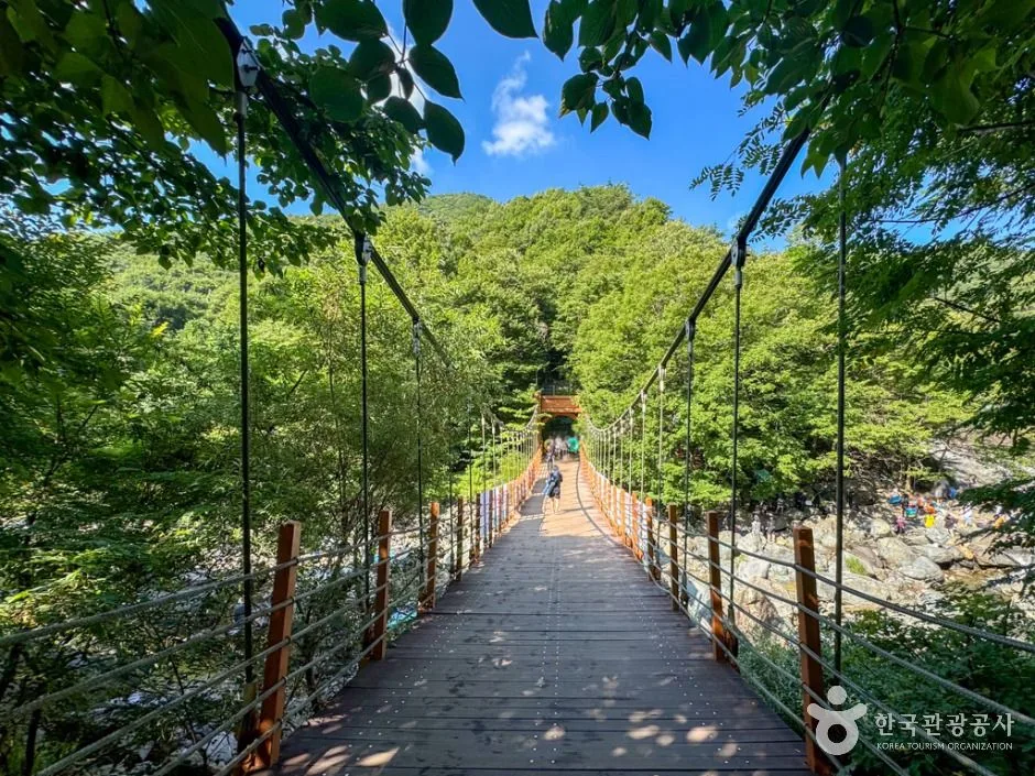 울주_철구소계곡 (2)