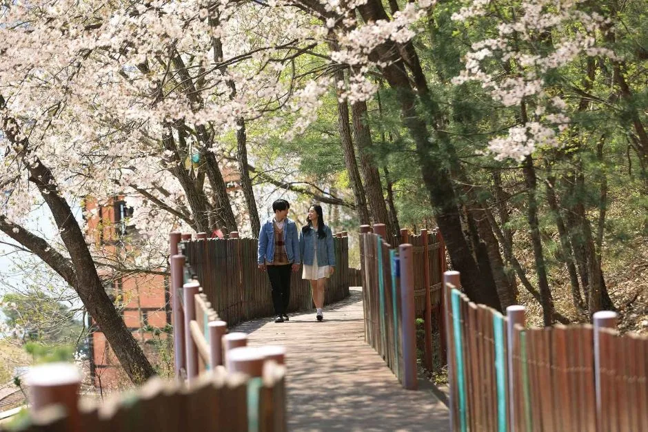 쁘띠프랑스 (5)