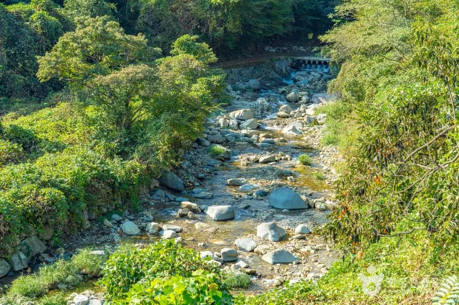 산청_고운동계곡 (3)